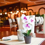 Carea Residenz Harzhöhe Hotel 3*