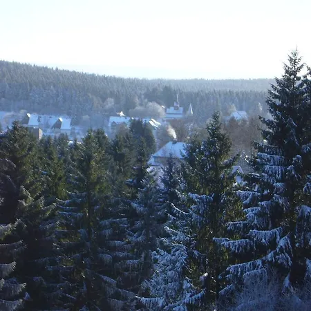 Hotell Carea Residenz Harzhoehe 3*