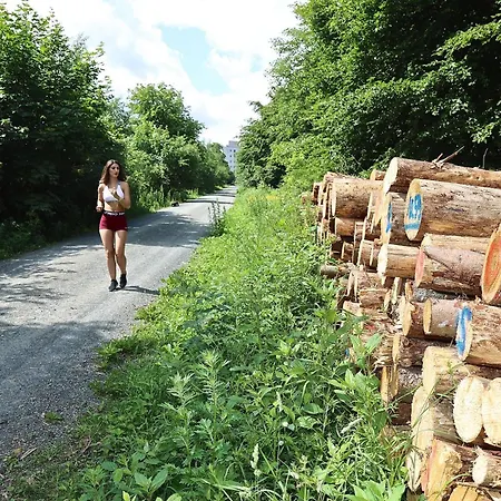 Carea Residenz Harzhoehe 3* Goslar