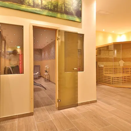 Otel Carea Residenz Harzhoehe 3*