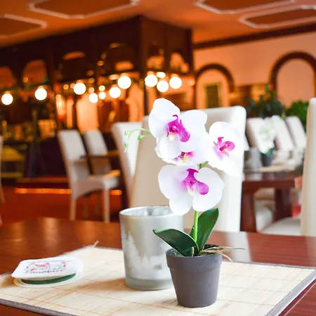 Carea Residenz Harzhoehe Otel 3*