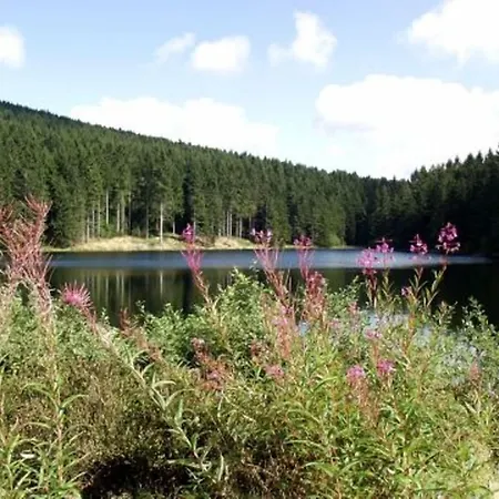 מלון Carea Residenz Harzhoehe 3*