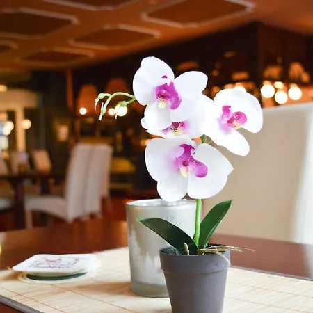 Hotel Carea Residenz Harzhoehe Goslar