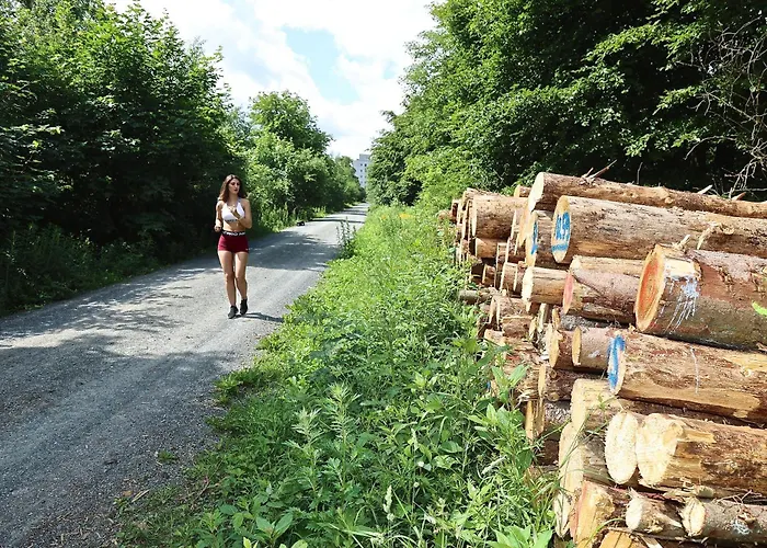 Carea Residenz Harzhöhe 3* Goslar