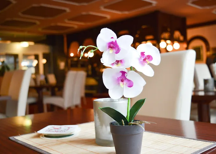 Carea Residenz Harzhöhe