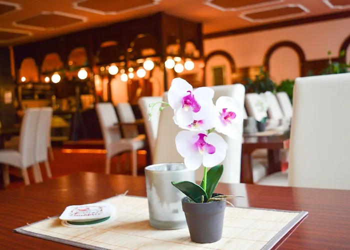 Carea Residenz Harzhöhe Hotel 3*